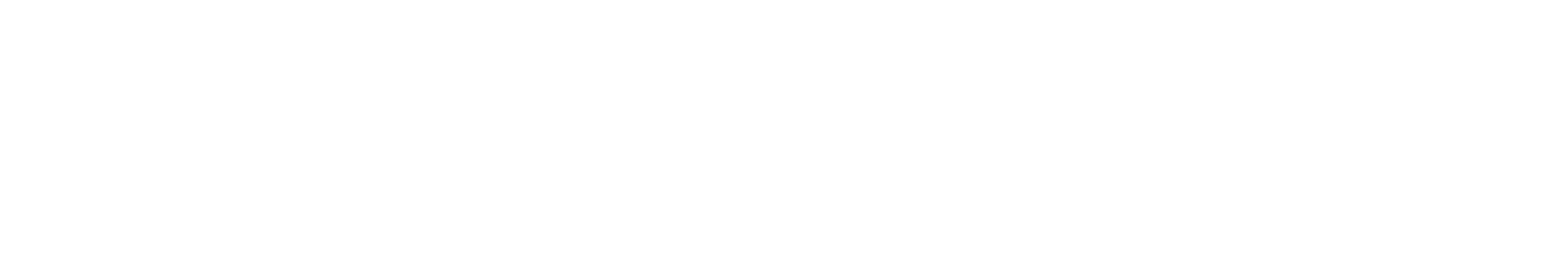 Swift Fortress